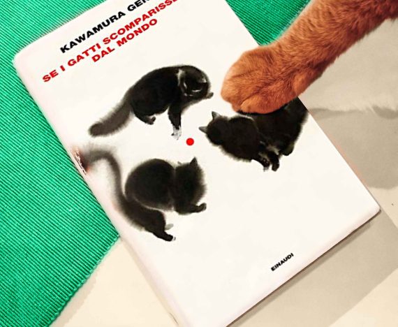 Se i gatti scomparissero dal mondo
